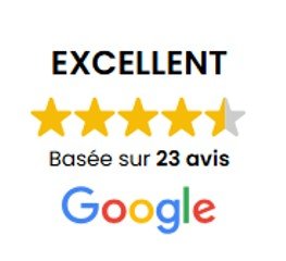 Avis ERP Services global